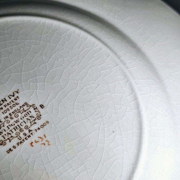 2 Wedgwood Golden Ivy Dinner Plates 10.5" Laurel Rim raised relief England - Picture 9 of 14